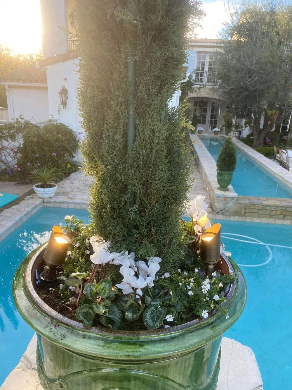 Decorative planter with flowers and lighting near a pool in a luxury backyard setting.